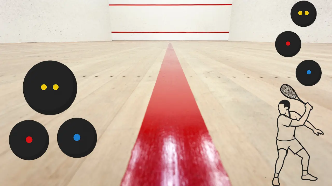 Tipos de pelotas de squash